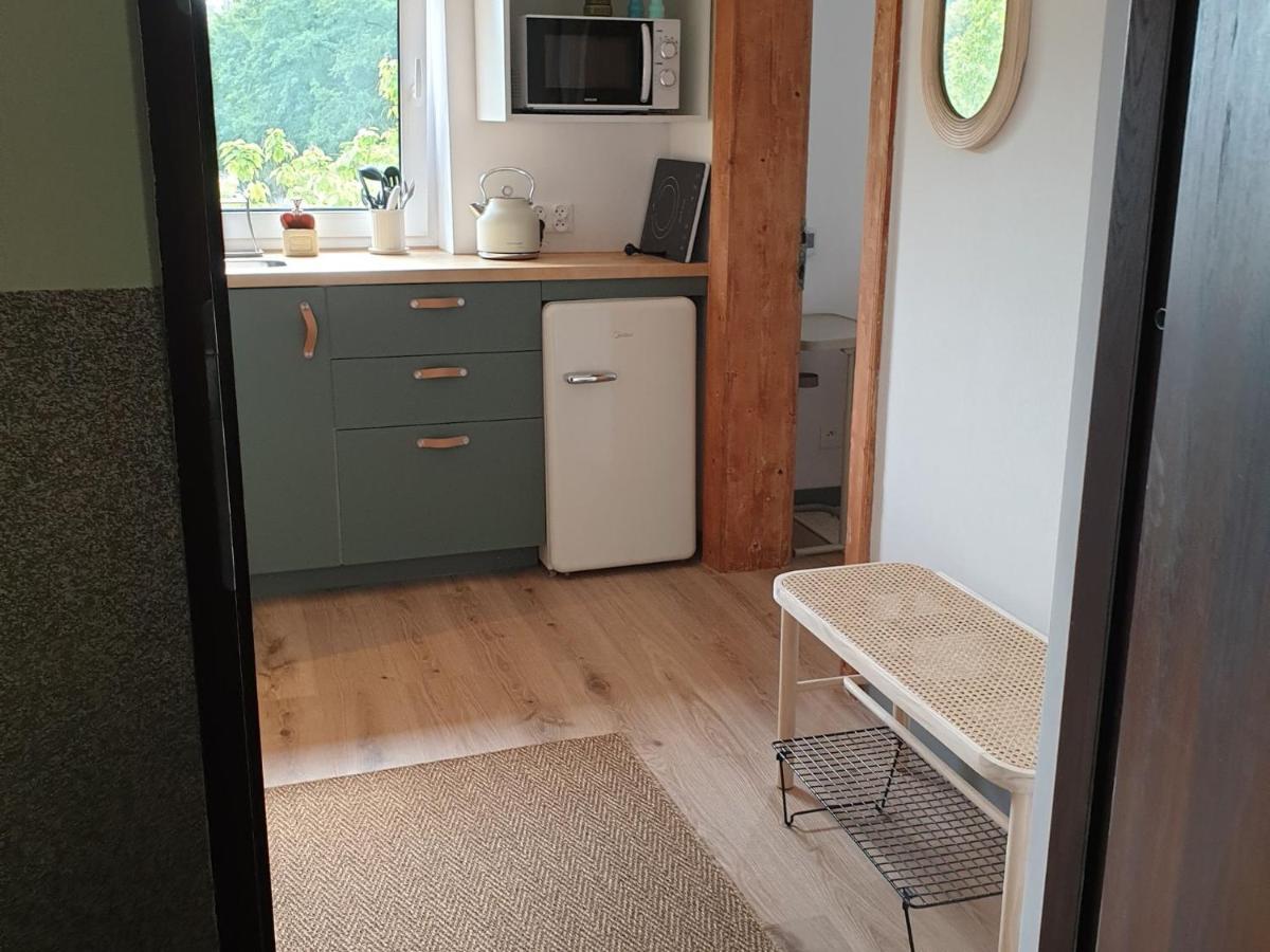 Apartament Przy Stawie Zdrojowym Kudowa-Zdrój Kültér fotó